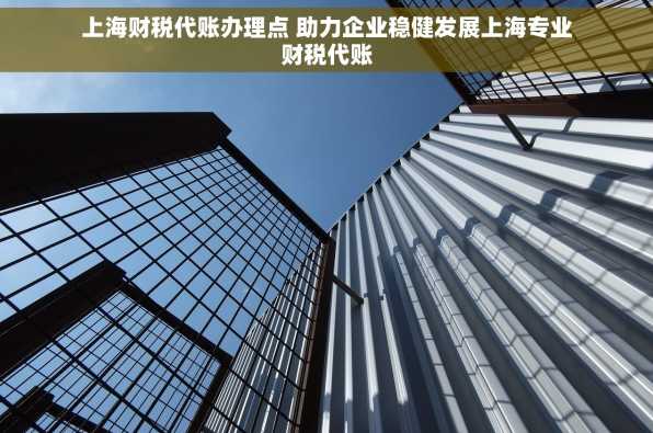 上海财税代账办理点 助力企业稳健发展上海专业财税代账