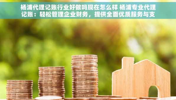 杨浦代理记账行业好做吗现在怎么样 杨浦专业代理记账：轻松管理企业财务，提供全面优质服务与支持