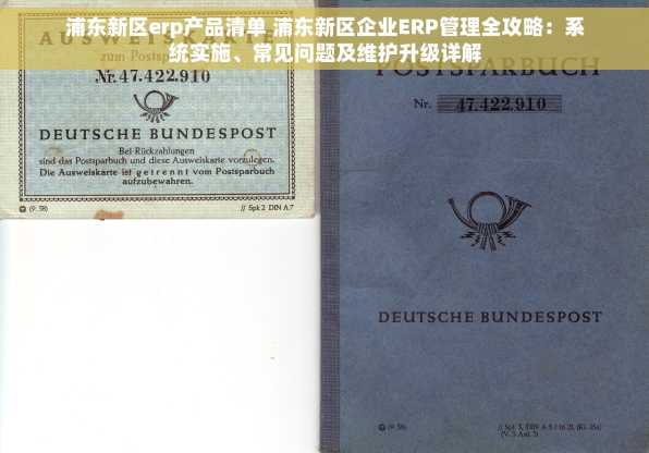 浦东新区erp产品清单 浦东新区企业ERP管理全攻略：系统实施、常见问题及维护升级详解
