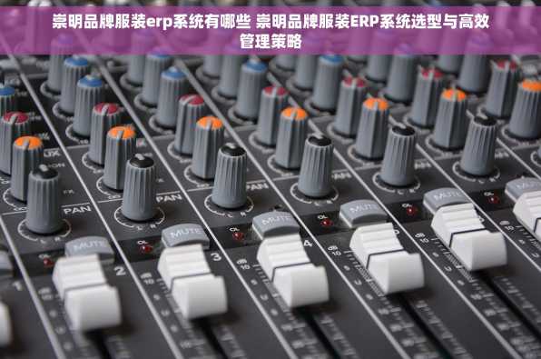 崇明品牌服装erp系统有哪些 崇明品牌服装ERP系统选型与高效管理策略