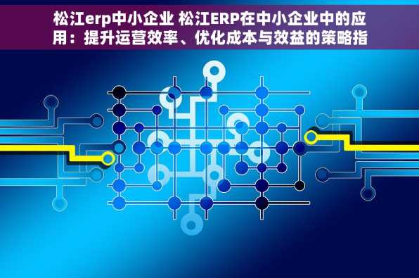 松江erp中小企业 松江ERP在中小企业中的应用：提升运营效率、优化成本与效益的策略指南