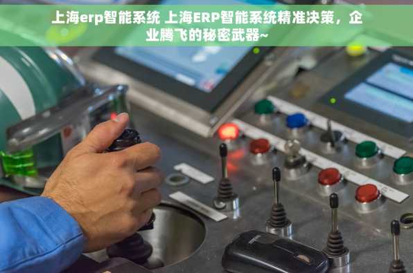 上海erp智能系统 上海ERP智能系统精准决策，企业腾飞的秘密武器~
