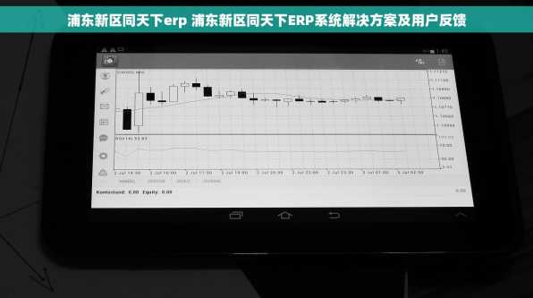 浦东新区同天下erp 浦东新区同天下ERP系统解决方案及用户反馈