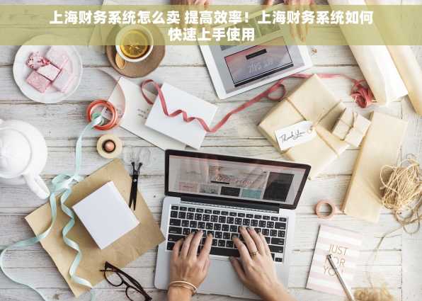 上海财务系统怎么卖 提高效率！上海财务系统如何快速上手使用