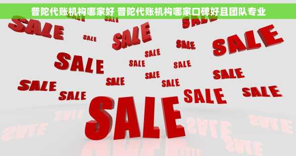 普陀代账机构哪家好 普陀代账机构哪家口碑好且团队专业