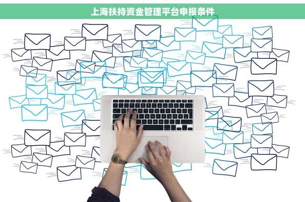 上海扶持资金管理平台申报条件