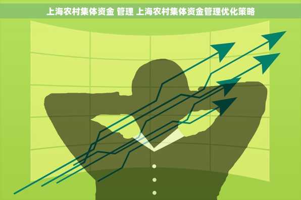 上海农村集体资金 管理 上海农村集体资金管理优化策略