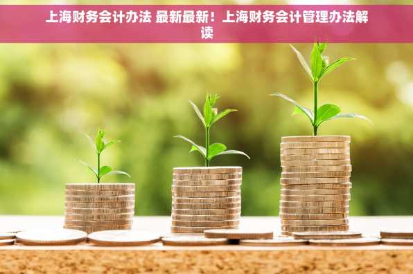 上海财务会计办法 最新最新！上海财务会计管理办法解读