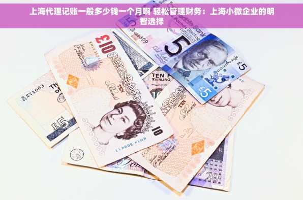 上海代理记账一般多少钱一个月啊 轻松管理财务：上海小微企业的明智选择