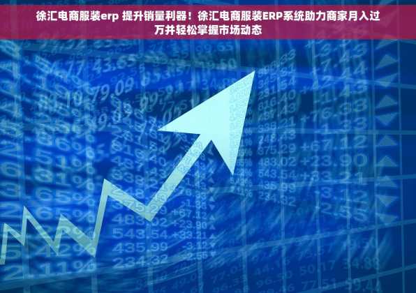 徐汇电商服装erp 提升销量利器！徐汇电商服装ERP系统助力商家月入过万并轻松掌握市场动态