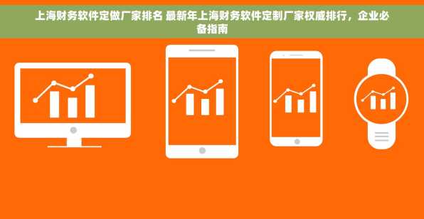 上海财务软件定做厂家排名 最新年上海财务软件定制厂家权威排行，企业必备指南