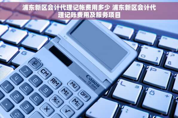 浦东新区会计代理记帐费用多少 浦东新区会计代理记账费用及服务项目