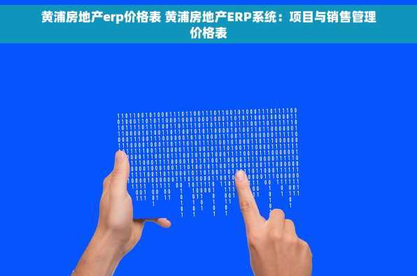 黄浦房地产erp价格表 黄浦房地产ERP系统：项目与销售管理价格表