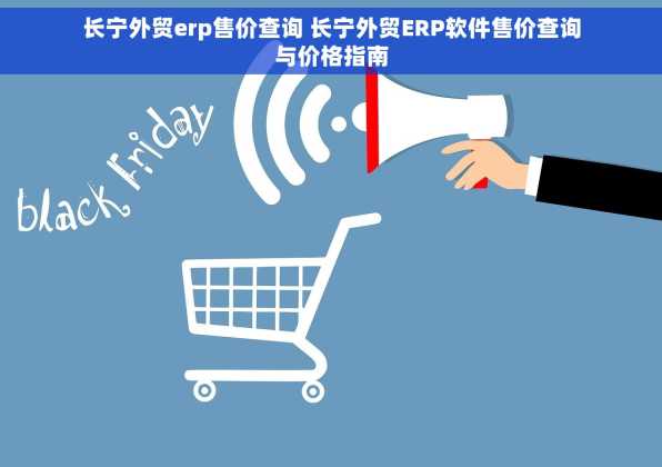 长宁外贸erp售价查询 长宁外贸ERP软件售价查询与价格指南
