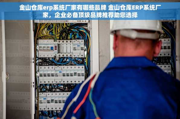 金山仓库erp系统厂家有哪些品牌 金山仓库ERP系统厂家，企业必备顶级品牌推荐助您选择