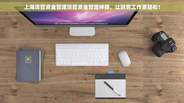 上海项目资金管理项目资金管理神器，让财务工作更轻松！