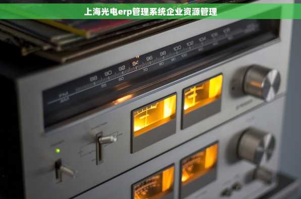 上海光电erp管理系统企业资源管理