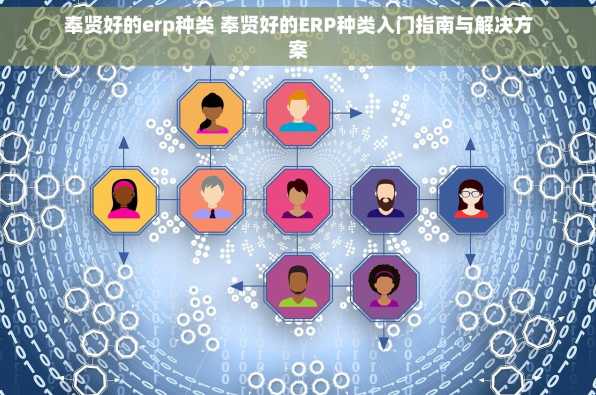 奉贤好的erp种类 奉贤好的ERP种类入门指南与解决方案
