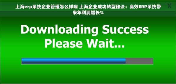 上海erp系统企业管理怎么样啊 上海企业成功转型秘诀：高效ERP系统带来年利润增长%