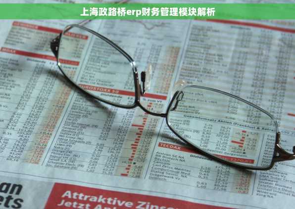 上海政路桥erp财务管理模块解析