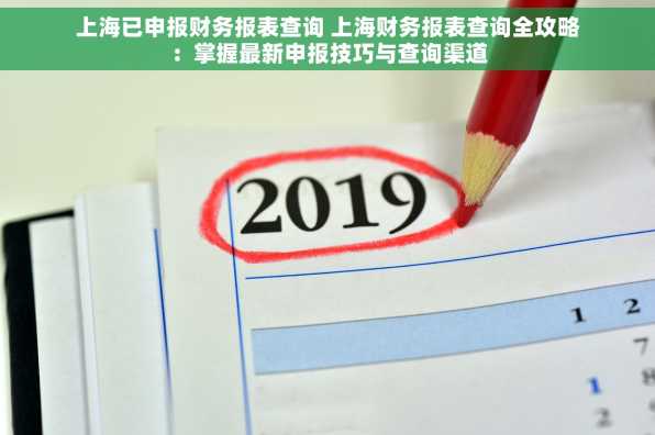 上海已申报财务报表查询 上海财务报表查询全攻略：掌握最新申报技巧与查询渠道