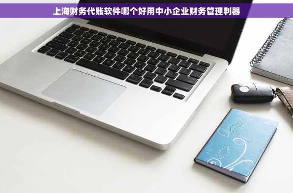 上海财务代账软件哪个好用中小企业财务管理利器