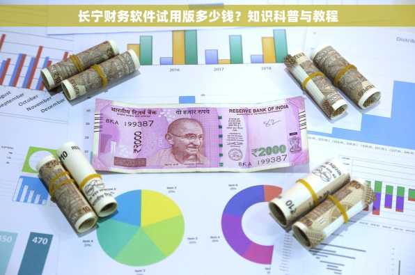 长宁财务软件试用版多少钱？知识科普与教程