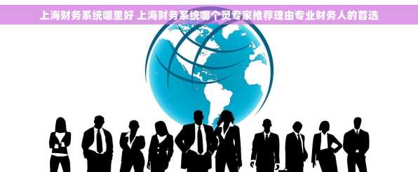 上海财务系统哪里好 上海财务系统哪个灵专家推荐理由专业财务人的首选