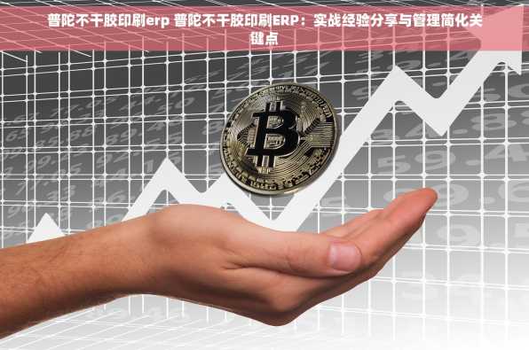 普陀不干胶印刷erp 普陀不干胶印刷ERP：实战经验分享与管理简化关键点