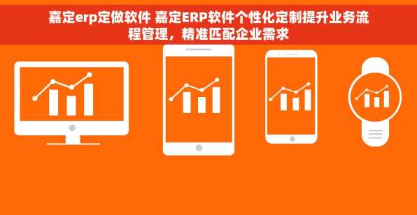 嘉定erp定做软件 嘉定ERP软件个性化定制提升业务流程管理，精准匹配企业需求