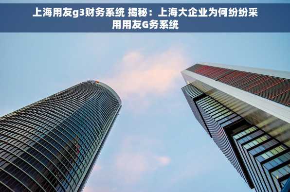 上海用友g3财务系统 揭秘：上海大企业为何纷纷采用用友G务系统