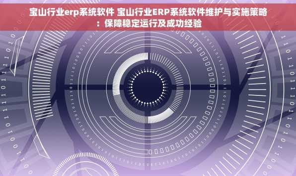 宝山行业erp系统软件 宝山行业ERP系统软件维护与实施策略：保障稳定运行及成功经验