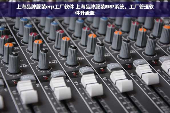 上海品牌服装erp工厂软件 上海品牌服装ERP系统，工厂管理软件升级版