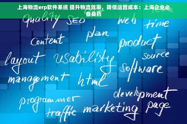 上海物流erp软件系统 提升物流效率，降低运营成本：上海企业必备良药
