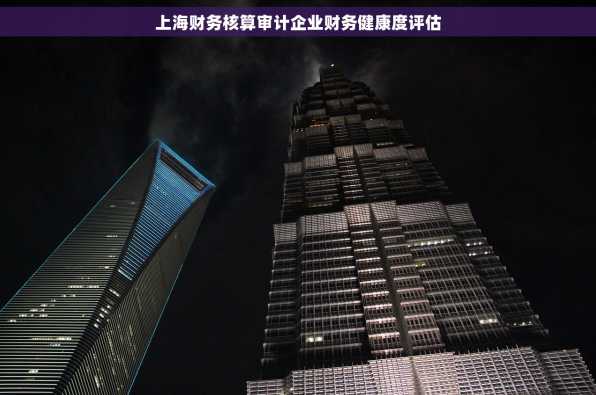 上海财务核算审计企业财务健康度评估