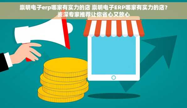 崇明电子erp哪家有实力的店 崇明电子ERP哪家有实力的店？资深专家推荐让你省心又放心