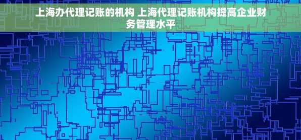上海办代理记账的机构 上海代理记账机构提高企业财务管理水平