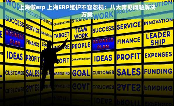 上海做erp 上海ERP维护不容忽视：八大常见问题解决方案