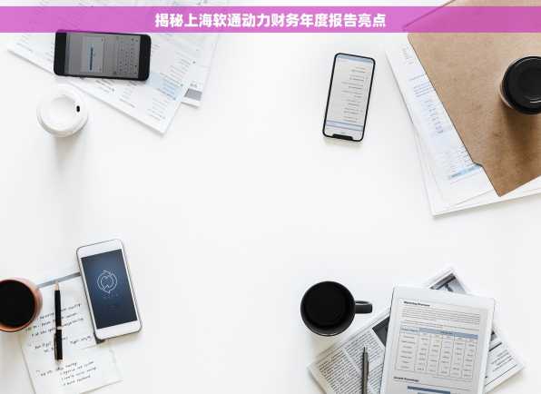 揭秘上海软通动力财务年度报告亮点