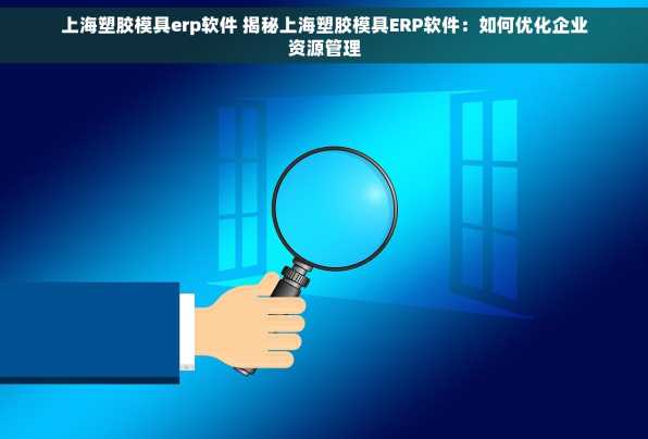 上海塑胶模具erp软件 揭秘上海塑胶模具ERP软件：如何优化企业资源管理