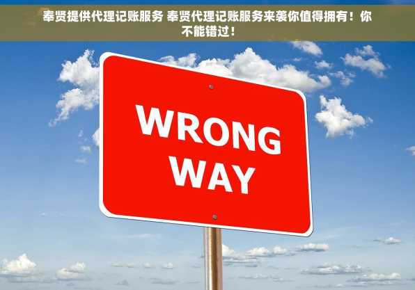 奉贤提供代理记账服务 奉贤代理记账服务来袭你值得拥有！你不能错过！