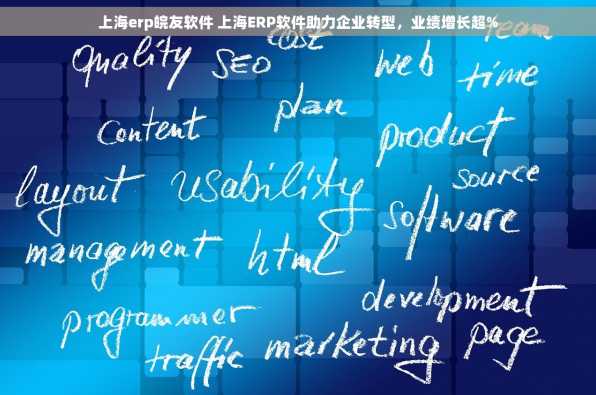 上海erp皖友软件 上海ERP软件助力企业转型，业绩增长超%