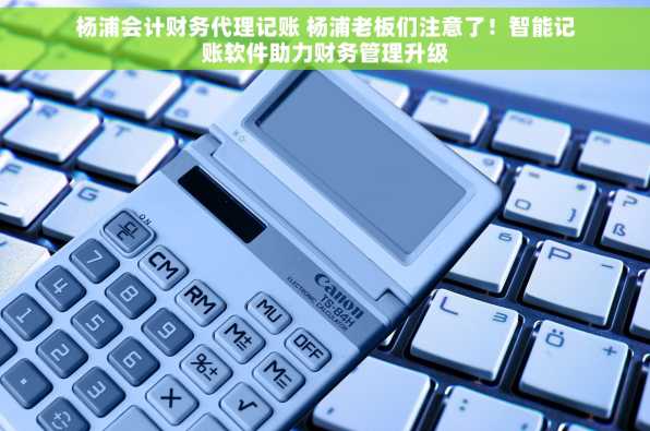 杨浦会计财务代理记账 杨浦老板们注意了！智能记账软件助力财务管理升级