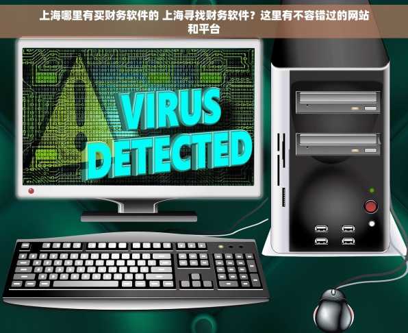 上海哪里有买财务软件的 上海寻找财务软件？这里有不容错过的网站和平台