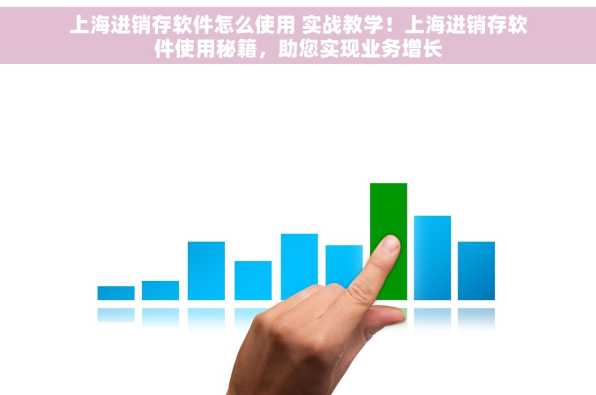 上海进销存软件怎么使用 实战教学！上海进销存软件使用秘籍，助您实现业务增长