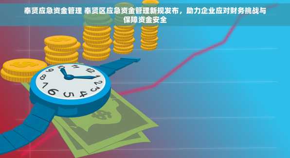 奉贤应急资金管理 奉贤区应急资金管理新规发布，助力企业应对财务挑战与保障资金安全
