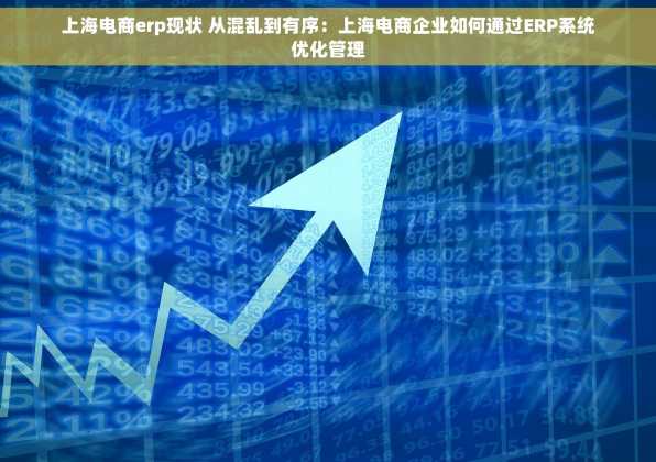 上海电商erp现状 从混乱到有序：上海电商企业如何通过ERP系统优化管理