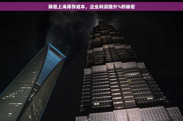 降低上海库存成本，企业利润提升%的秘密