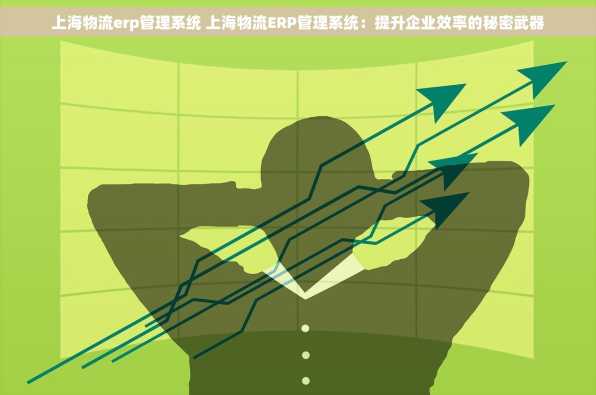 上海物流erp管理系统 上海物流ERP管理系统：提升企业效率的秘密武器