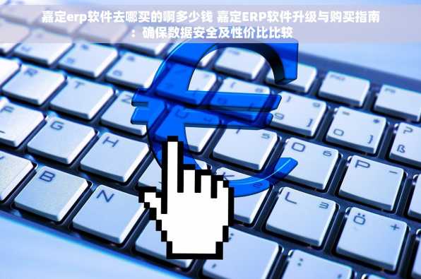 嘉定erp软件去哪买的啊多少钱 嘉定ERP软件升级与购买指南：确保数据安全及性价比比较